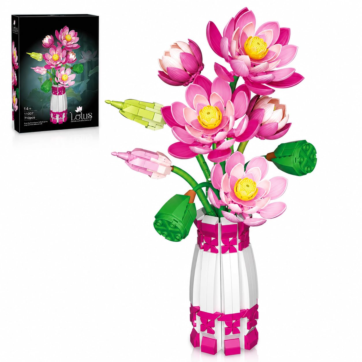 Amazon.co.jp: 蓮の花 ボタニカルコレクション 組み立てセット 花瓶